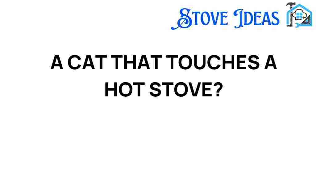 cat-touches-hot-stove